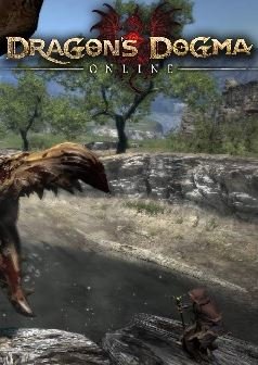 Dragon's Dogma Online