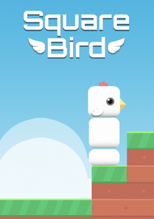 Square Bird