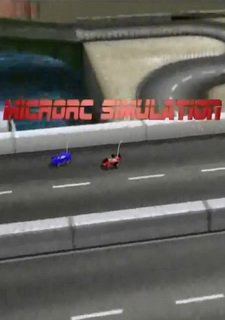 Micro Rc Simulation