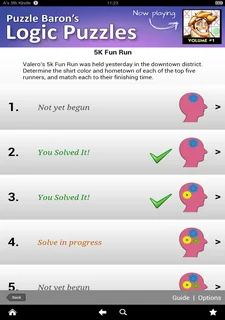 Logic Puzzles