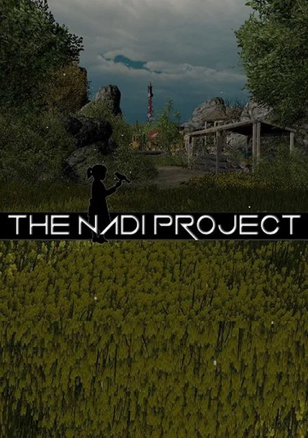 The NADI Project