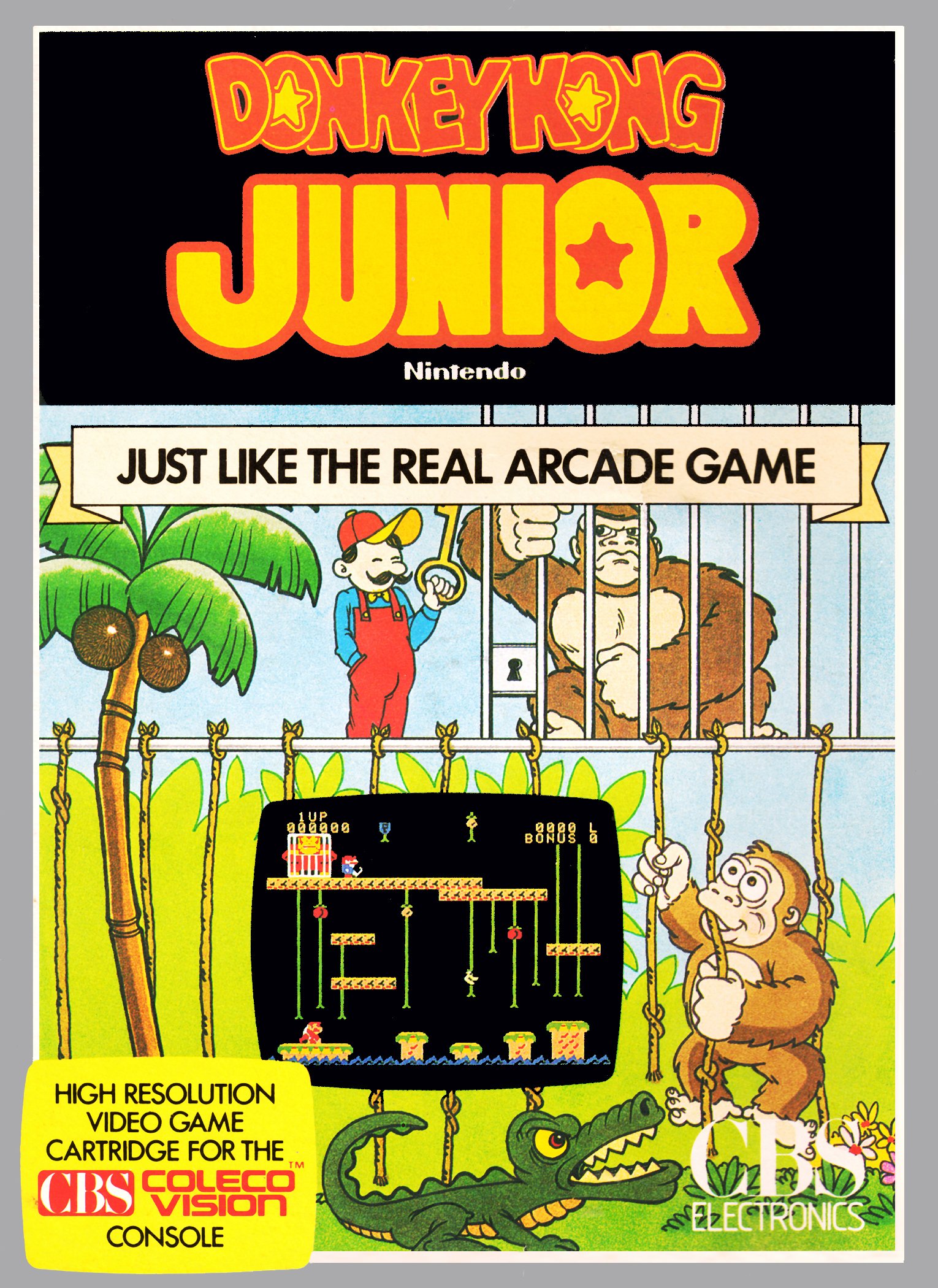 Donkey Kong Jr.