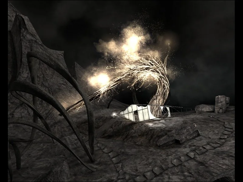 Тургор. Голос цвета - кадр 2