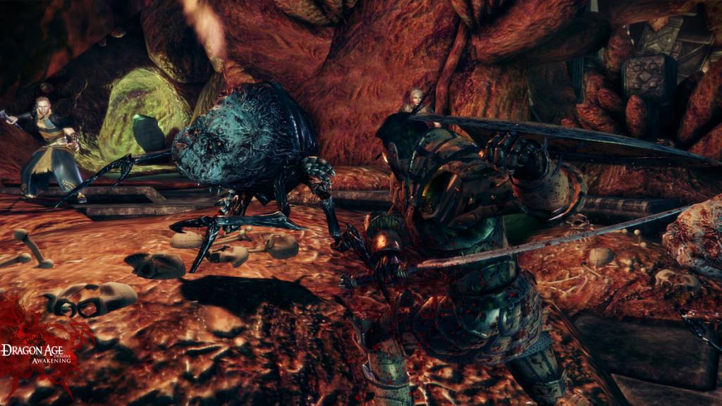 Dragon Age: Origins - Awakening — скриншот 7
