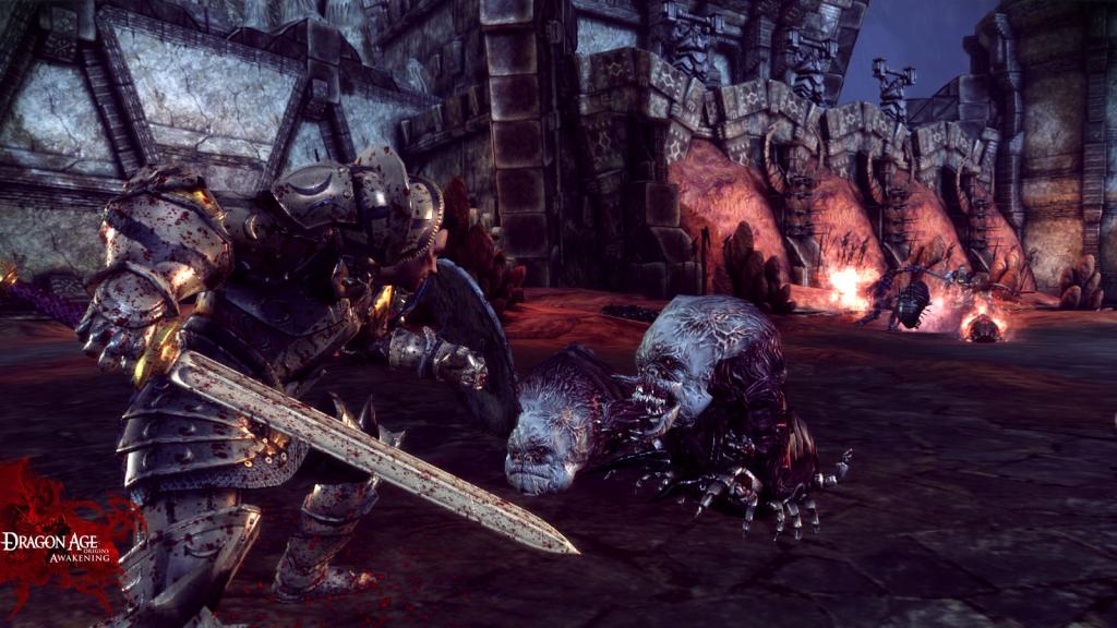 Dragon Age: Origins - Awakening — скриншот 5