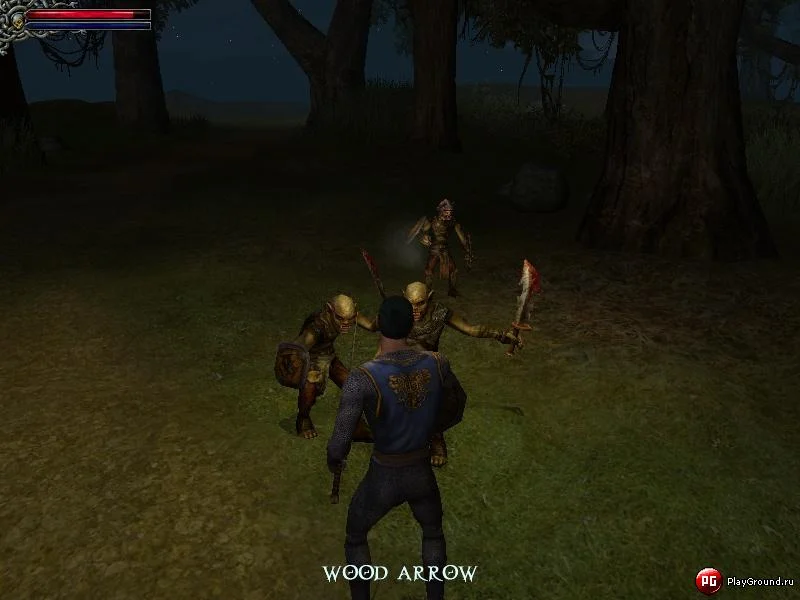 Dungeon Lords - кадр 2