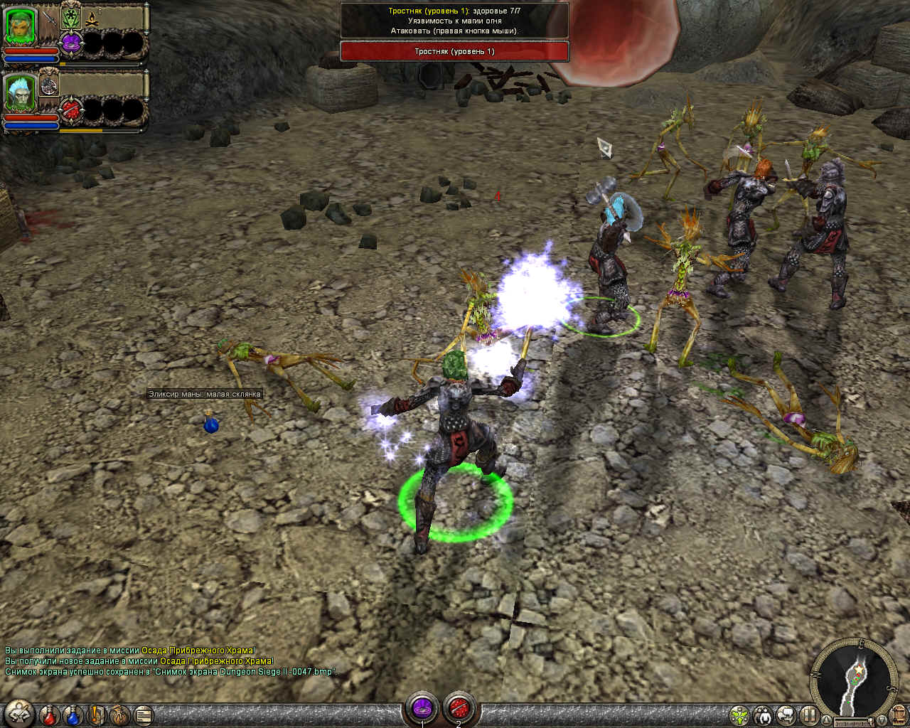 Dungeon Siege 2 — скриншот 4