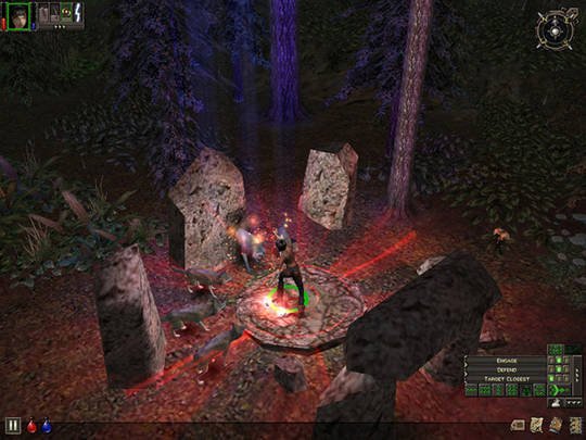 Dungeon Siege — скриншот 2