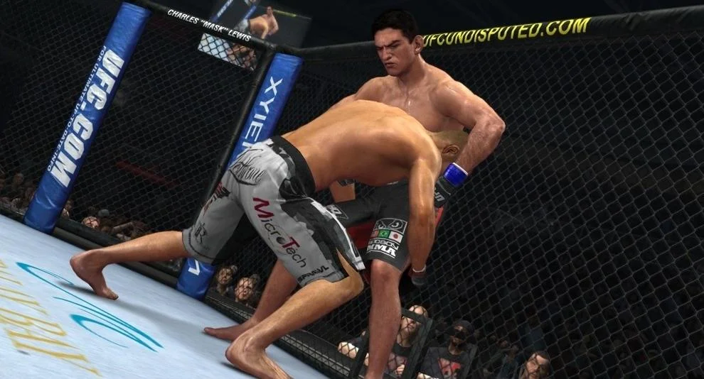 UFC 2010: Undisputed - кадр 10