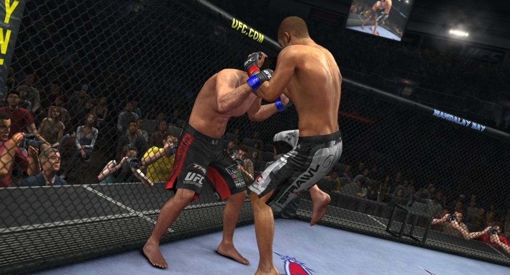 UFC 2010: Undisputed — скриншот 5