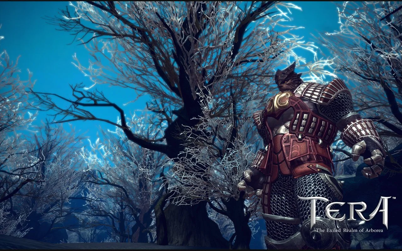 TERA: The Next - кадр 16