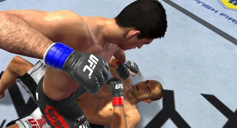 UFC 2010: Undisputed - кадр 9
