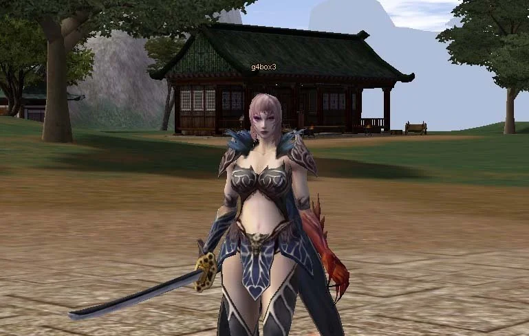 Metin 2 - кадр 3