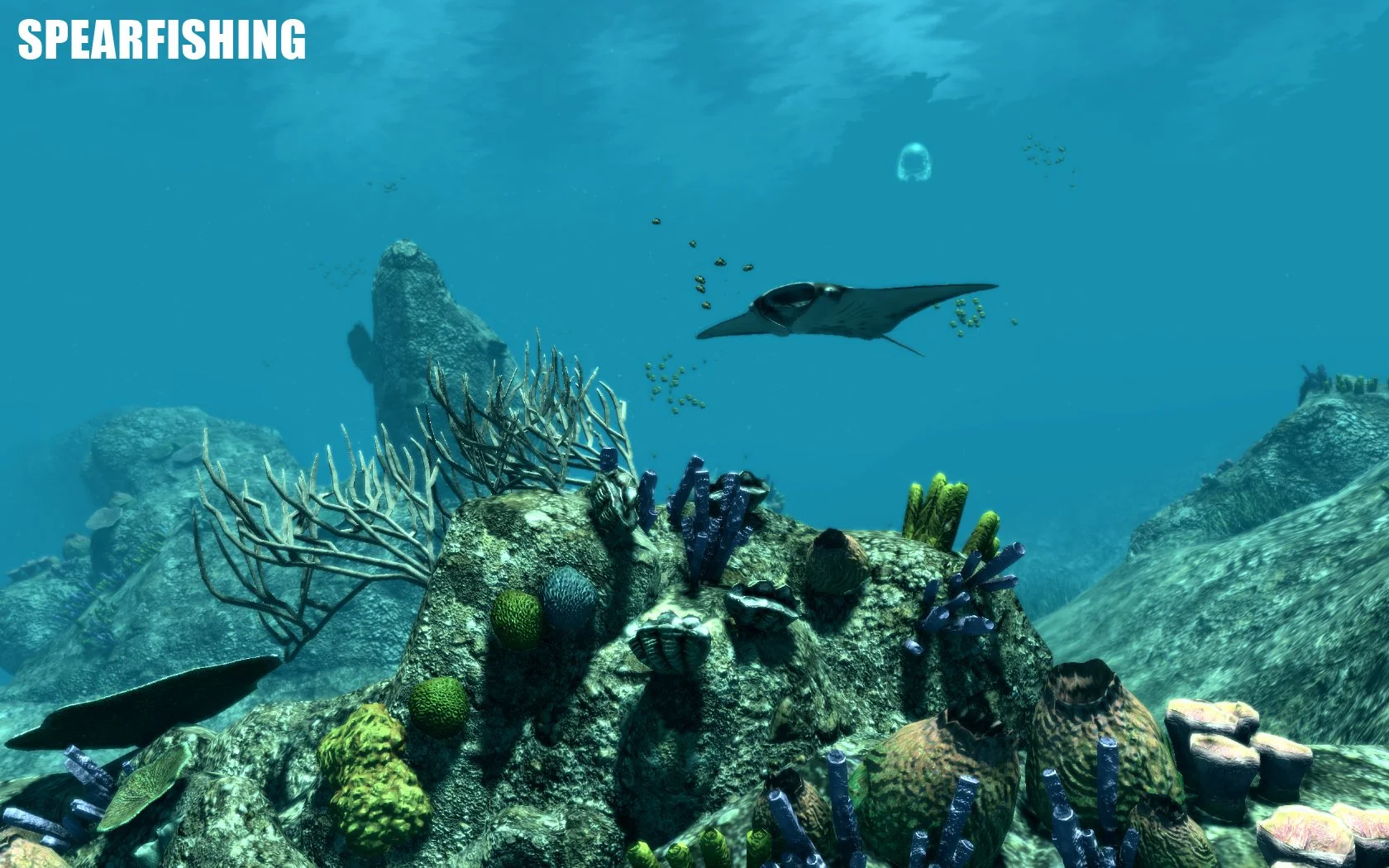 Spearfishing - кадр 7