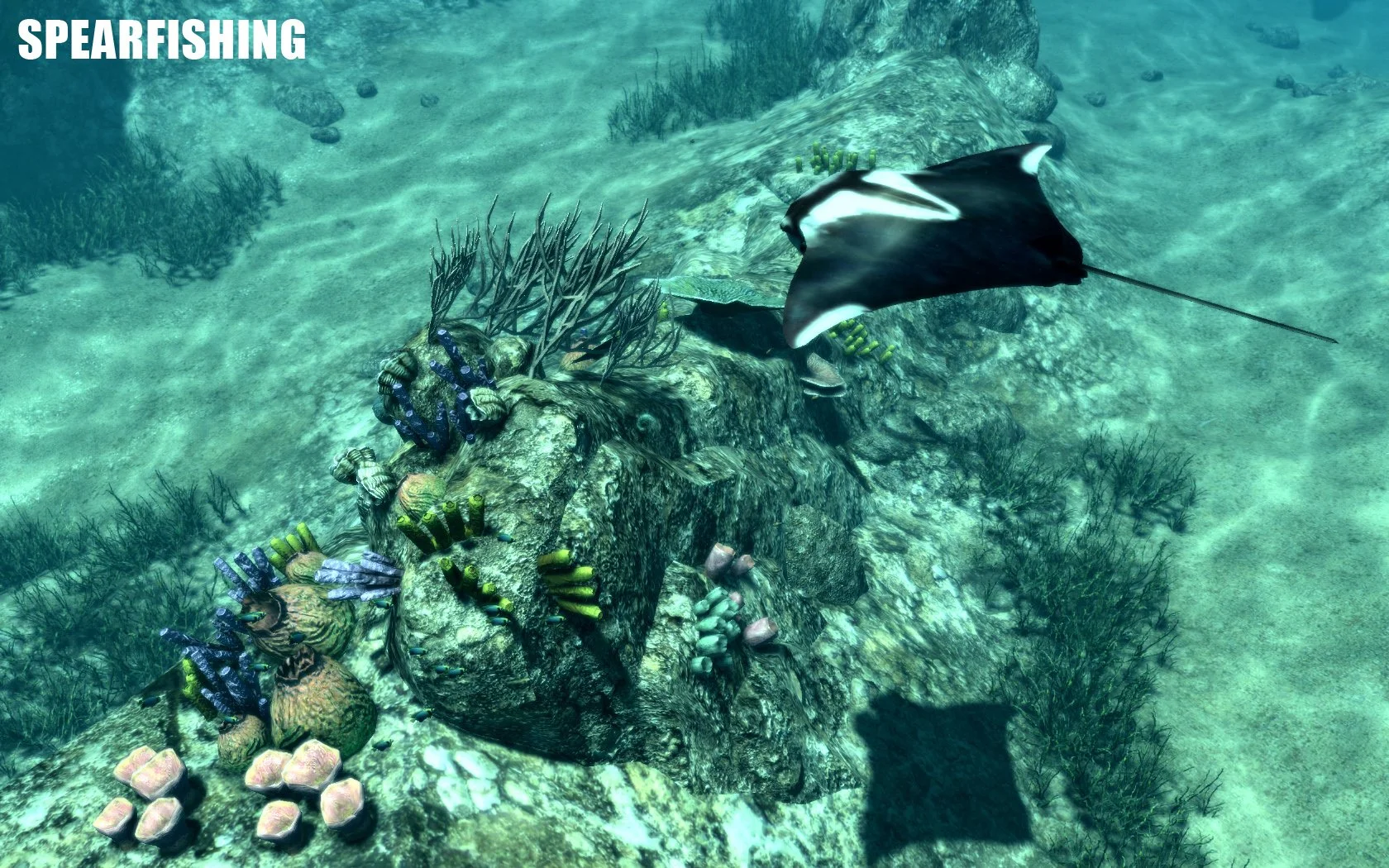 Spearfishing - кадр 9