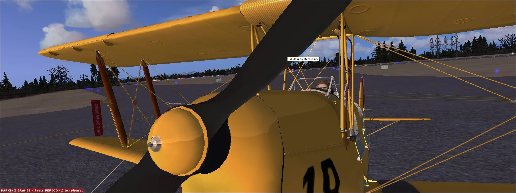 Microsoft Flight Simulator X: De Havilland Tiger Moth DH-82A - кадр 2