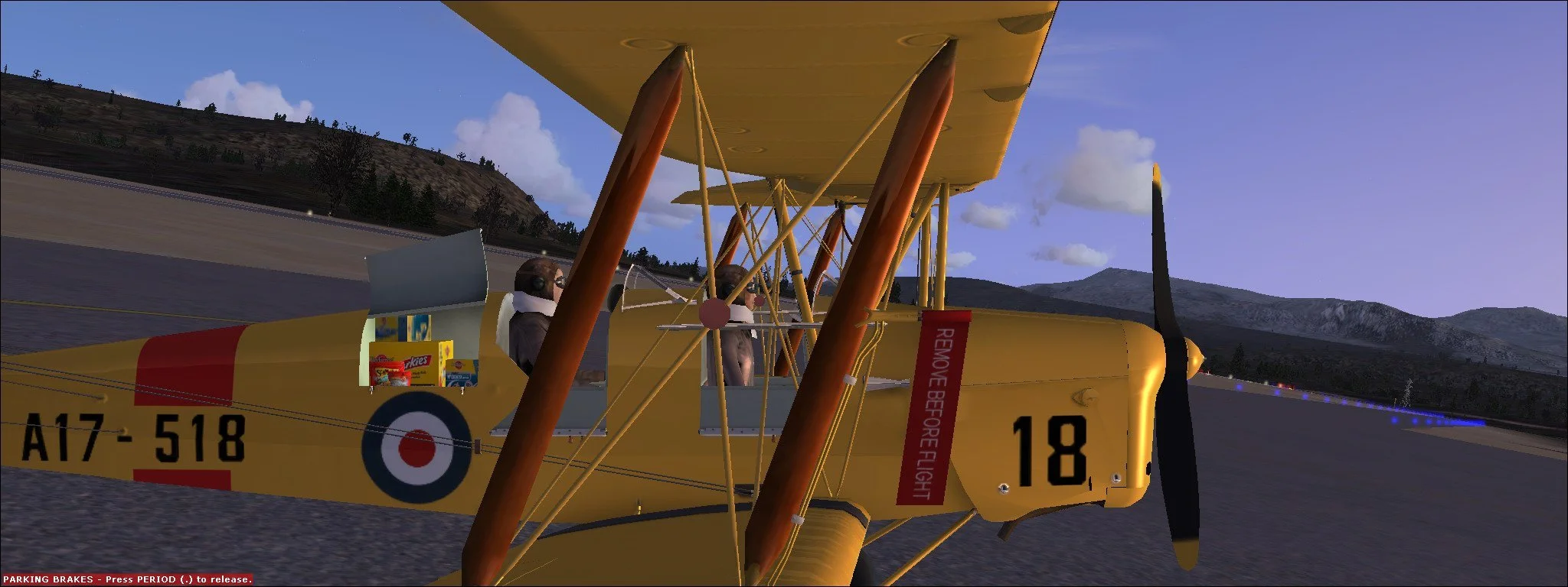 Microsoft Flight Simulator X: De Havilland Tiger Moth DH-82A - кадр 1