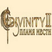 Divinity 2: Flames of Vengeance — скриншот 1