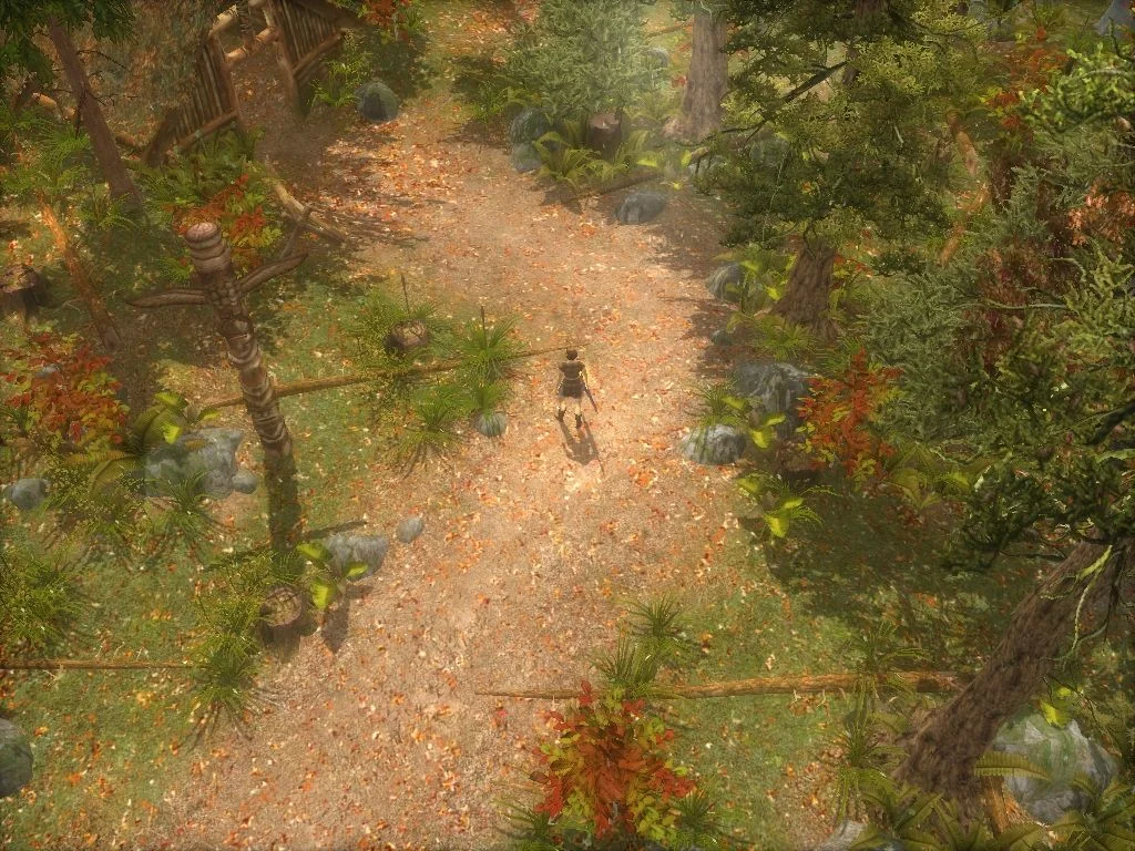 Heretic Kingdoms: Reluctant Hero - кадр 2