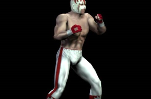 Pro Wrestling X — скриншот 3