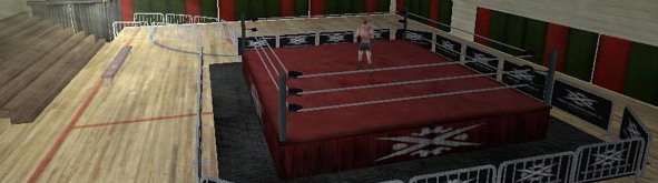 Pro Wrestling X — скриншот 2