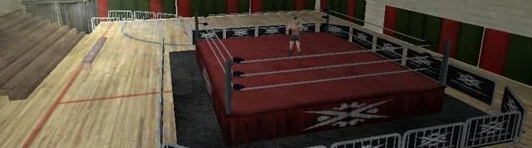 Pro Wrestling X - кадр 2