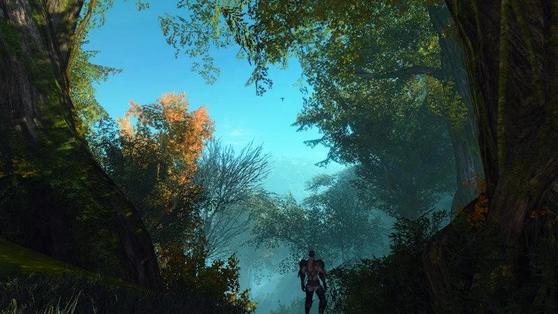 ArcheAge - кадр 5