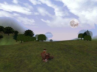 Dark Age of Camelot — скриншот 1