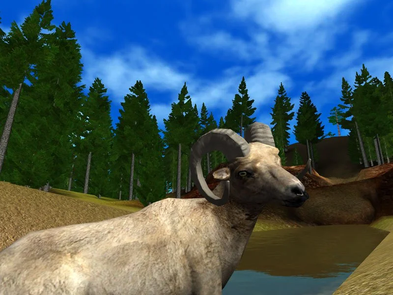 Hunting Unlimited 4 - кадр 2