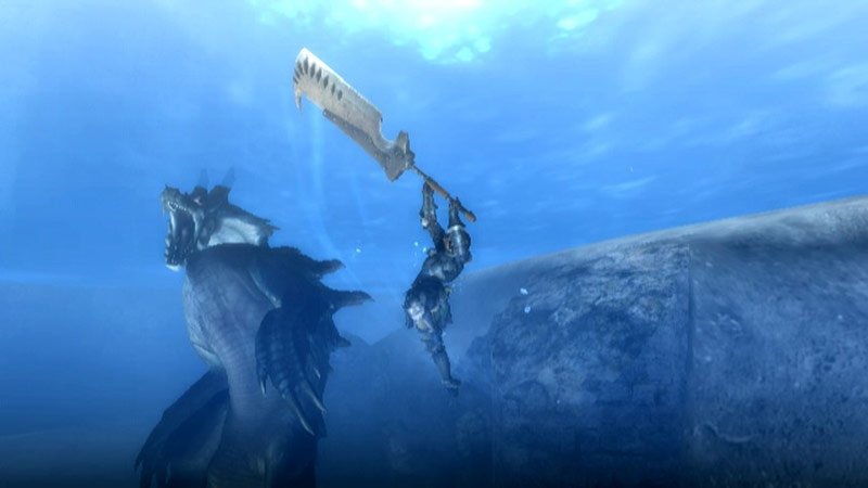 Monster Hunter 3 — скриншот 6