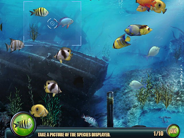 Nat Geo Adventure: Ghost Fleet — скриншот 1