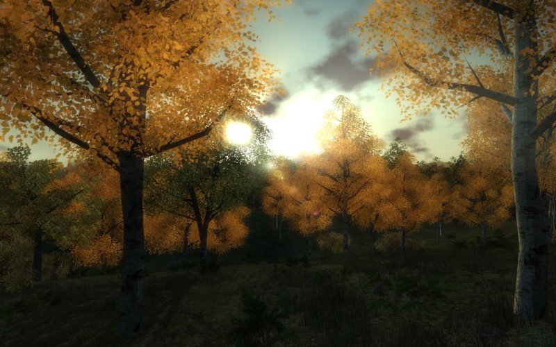 3D Hunting 2010 — скриншот 2