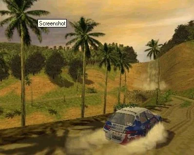 Pro Rally 2001 - кадр 2