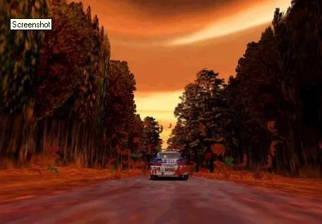Pro Rally 2001 - кадр 3