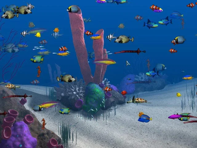 Big Kahuna Reef - кадр 2