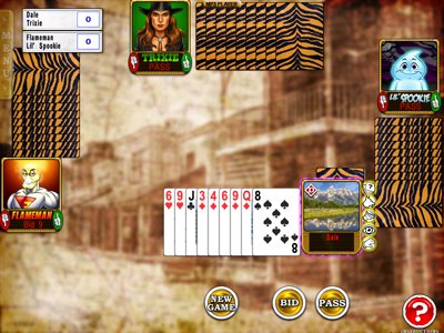 Reel Deal Card Games '09 — скриншот 4