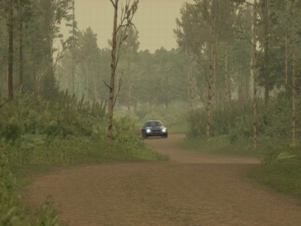 Richard Burns Rally — скриншот 2