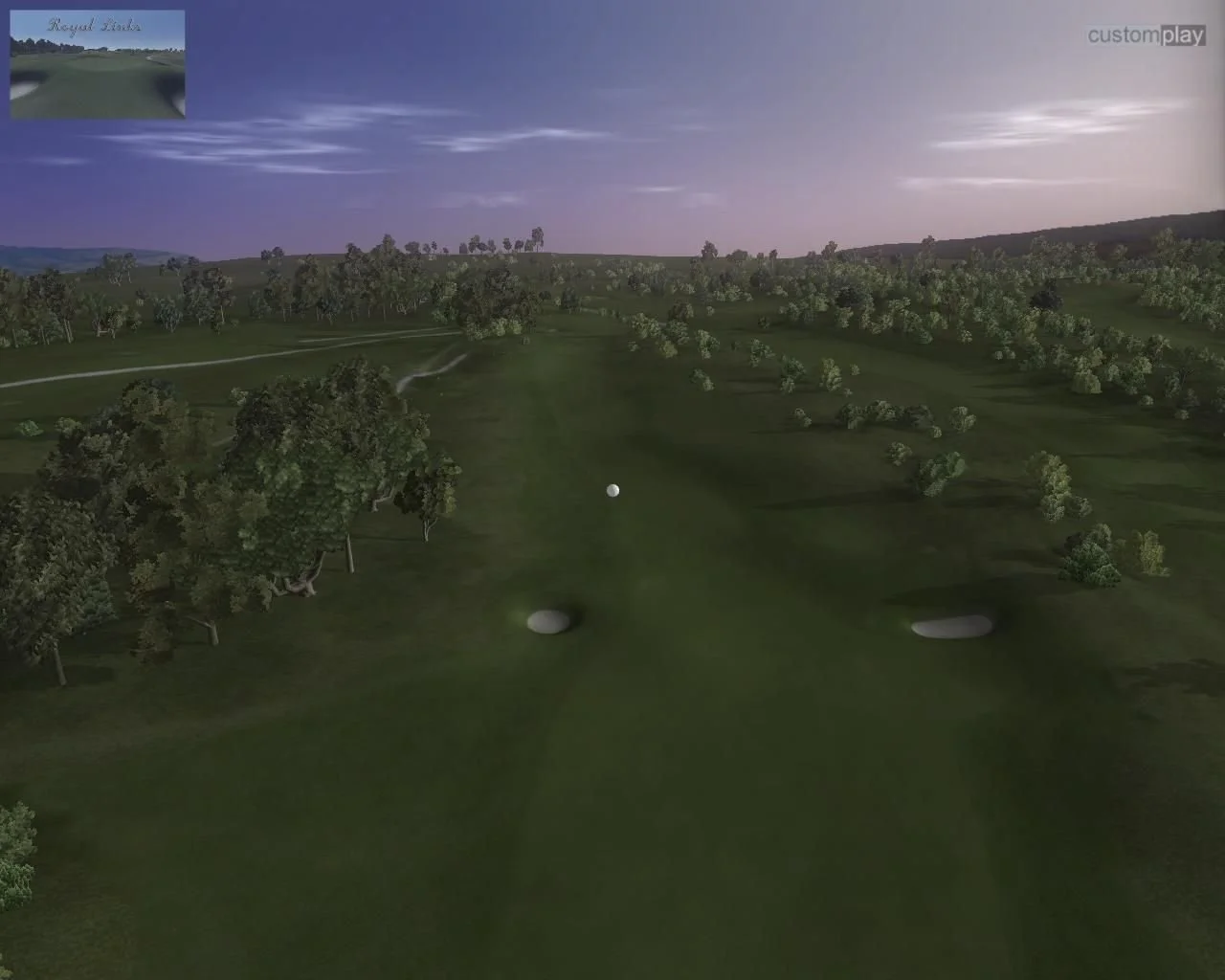 Customplay Golf 2010 - кадр 4