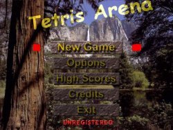 Tetris Arena — скриншот 5
