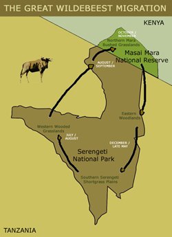 Great Migrations — скриншот 5