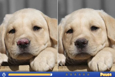 Spot the Difference! 2 - кадр 2