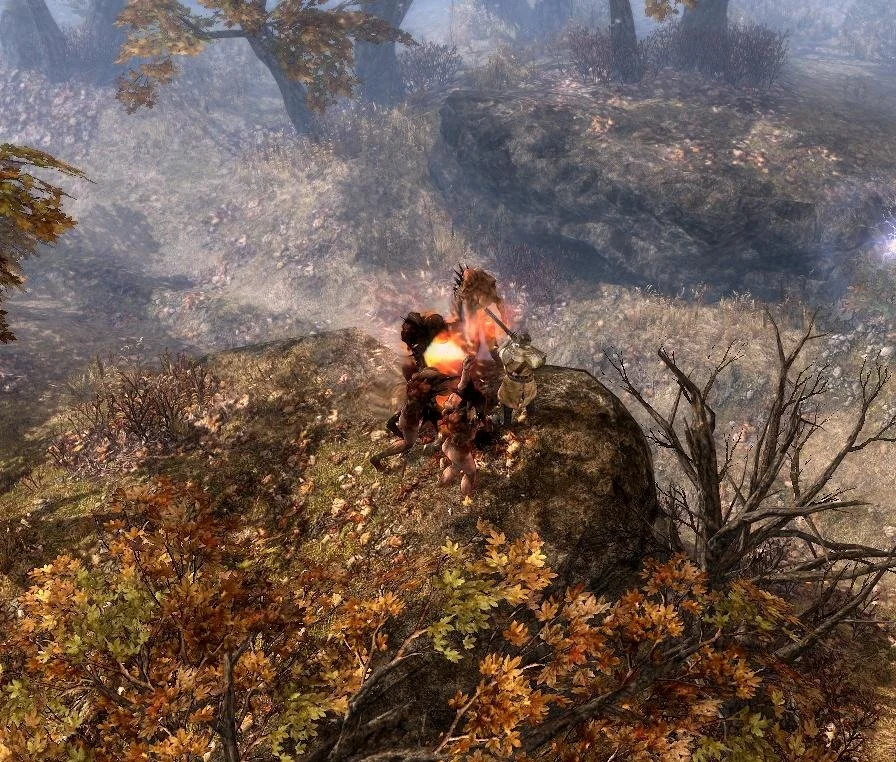 Grim Dawn - кадр 9