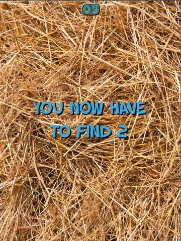 A-Needle-In-A-Haystack — скриншот 3