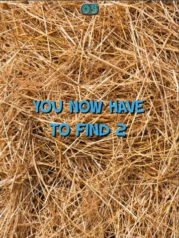 A-Needle-In-A-Haystack - кадр 3