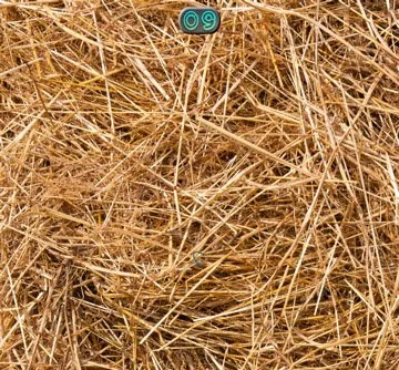 A-Needle-In-A-Haystack - кадр 1