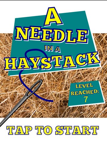 A-Needle-In-A-Haystack — скриншот 4