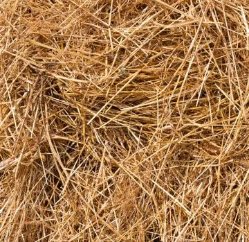 A-Needle-In-A-Haystack - кадр 2