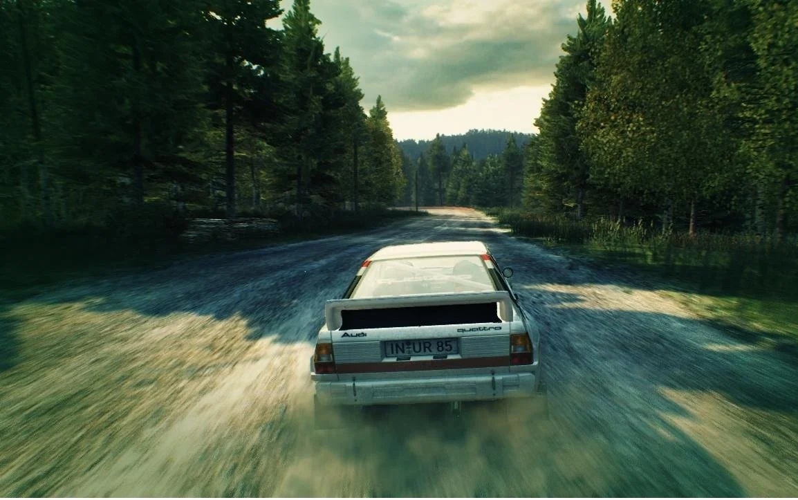 Dirt 3 - кадр 18