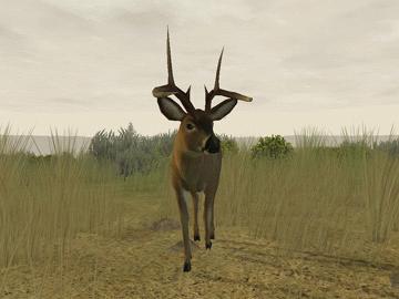 Ace Deer Hunter — скриншот 3