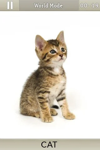 Action Dot-2-Dot - кадр 3